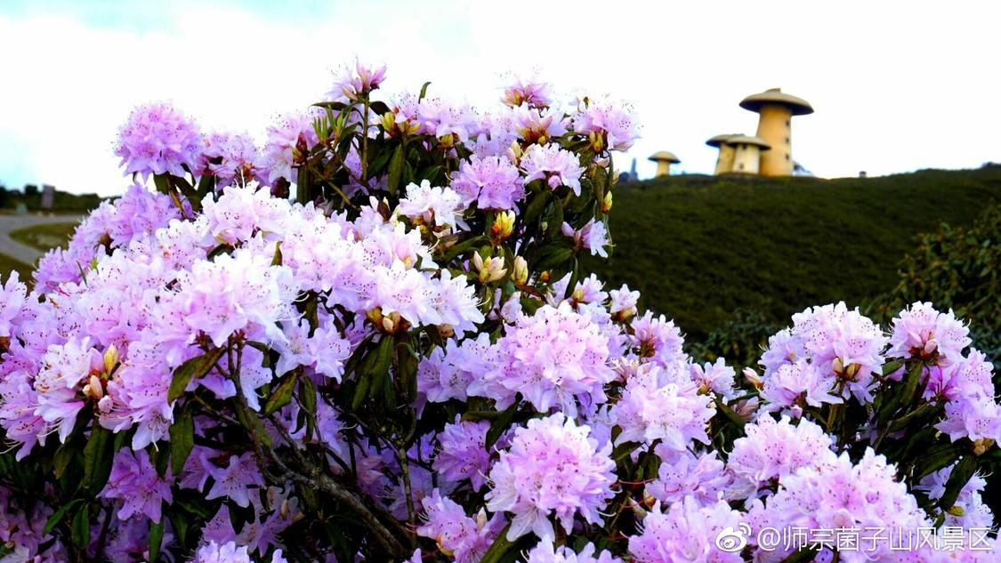 快手下单自助24小时服务