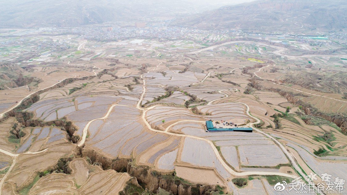 24小时网红自助下单平台：助你轻松运营人气的必备助手_低价涨双击24小时下单