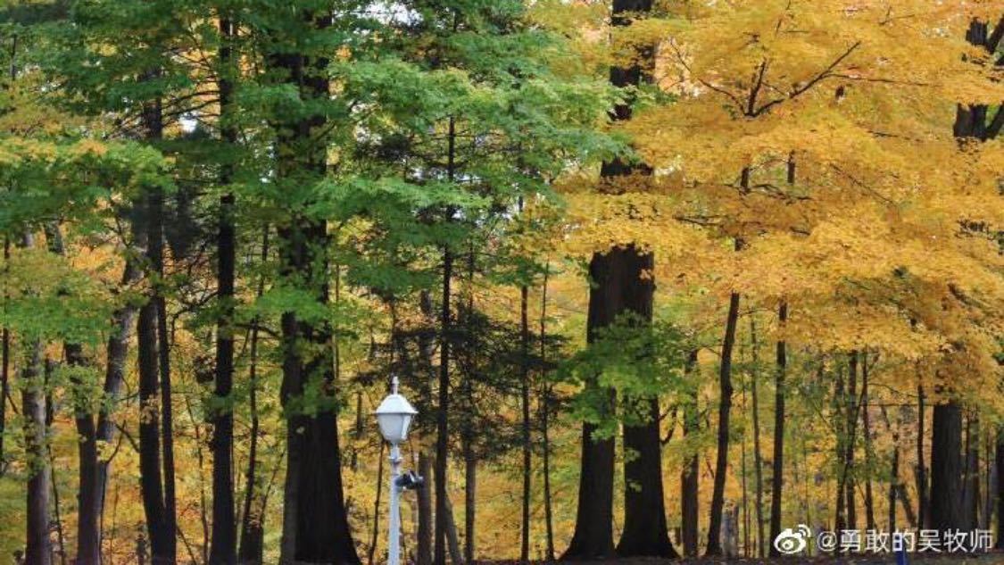 业务网站自助下单dy